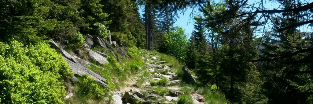 Radek Nemecᅠᅠᅠᅠᅠᅠᅠᅠᅠᅠᅠᅠᅠᅠᅠᅠᅠᅠᅠᅠᅠᅠᅠᅠᅠ banner