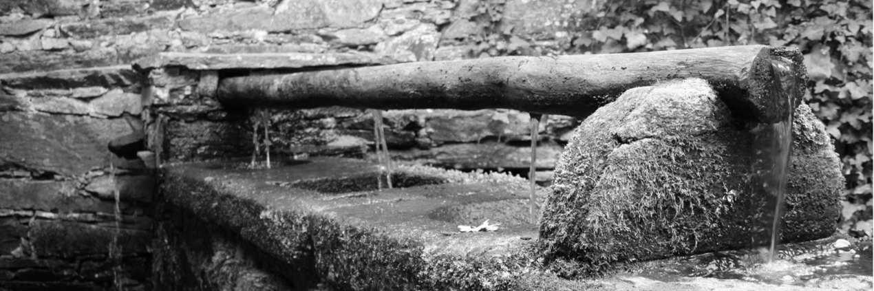 Bavatin's profile banner image