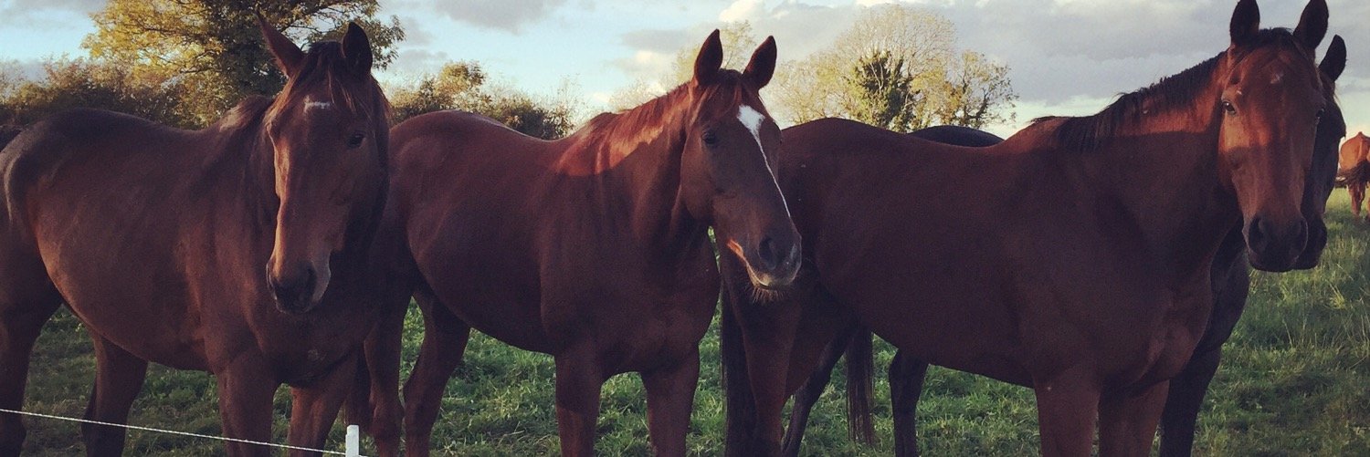 David Christie banner