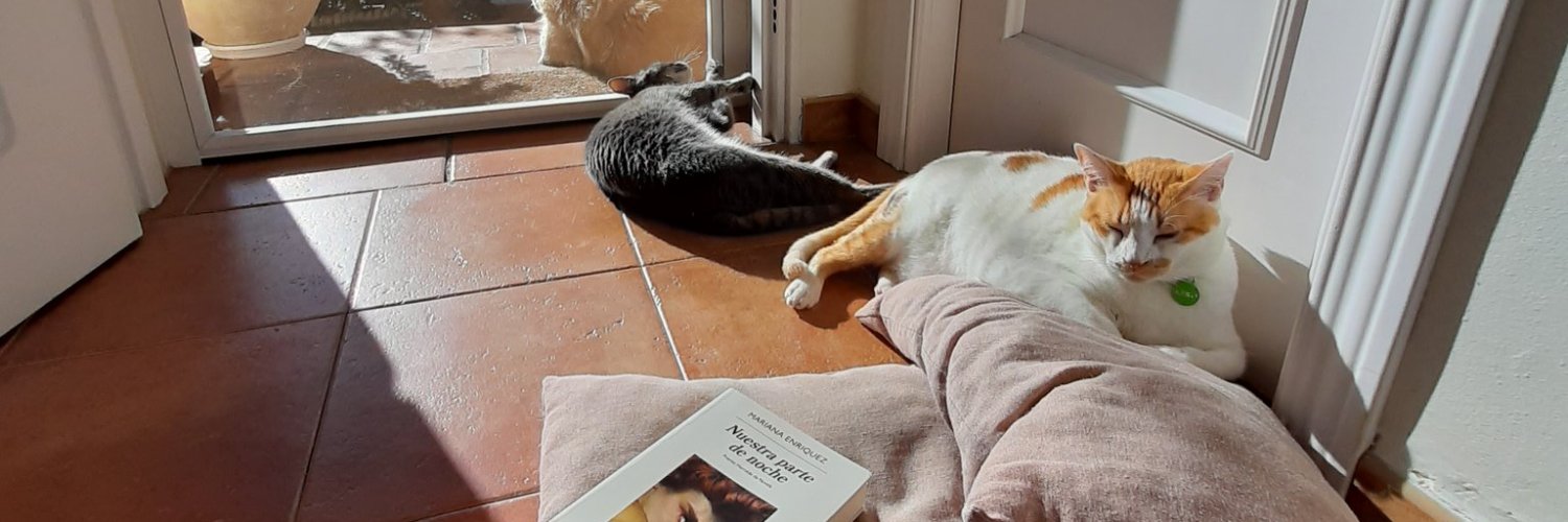 papas bravas enjoyer banner
