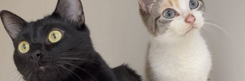 Kristian. banner