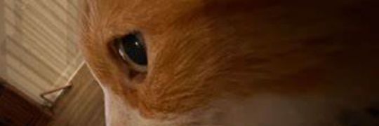 lfzef's profile banner image