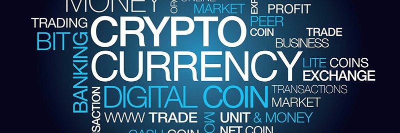 newcryptoangel's profile banner image
