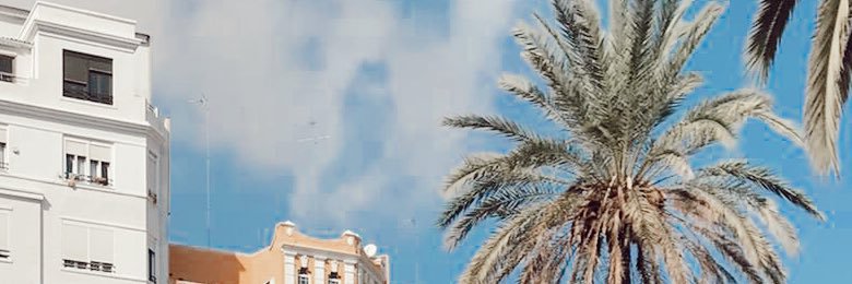 Marrrrrrrrta's profile banner image