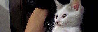 plutoooo5922's profile banner image