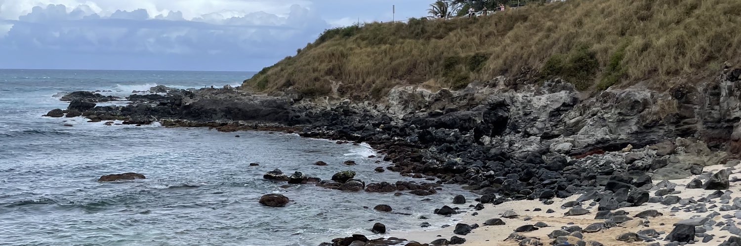 Bridgit Finley banner