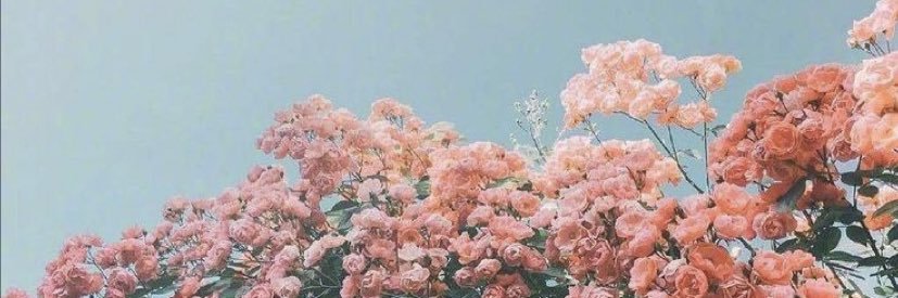 valegaarcia's profile banner image