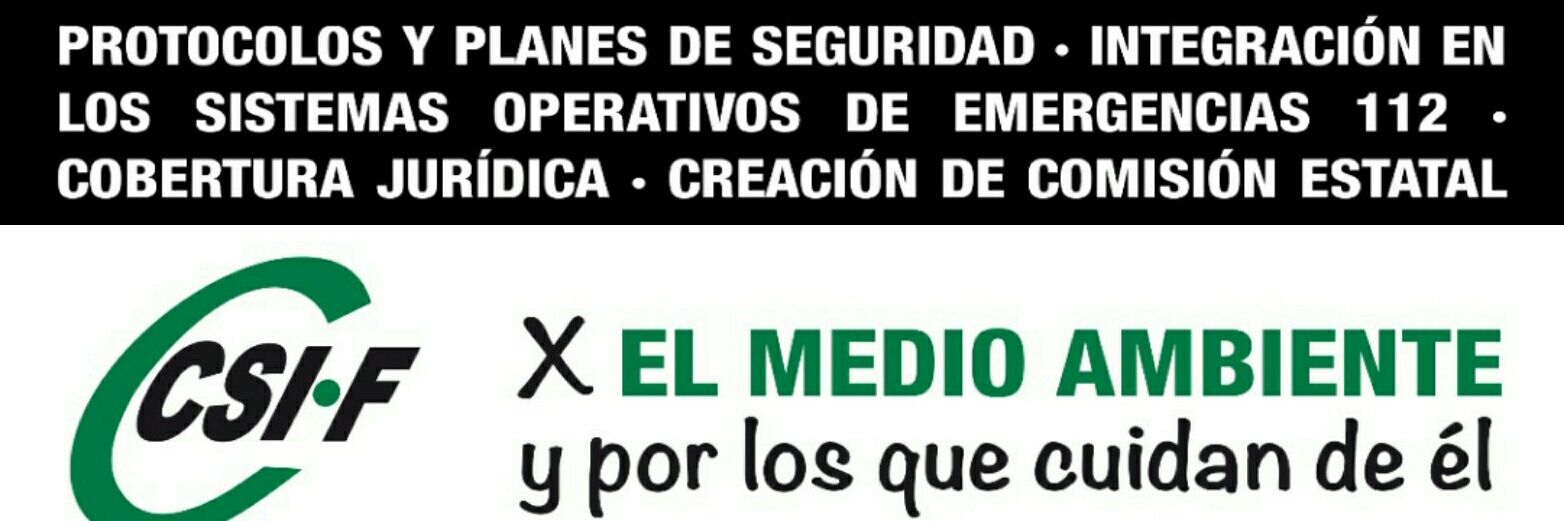 CSIF MEDIO AMBIENTE banner