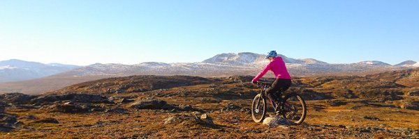 ingunnolea Profile Banner