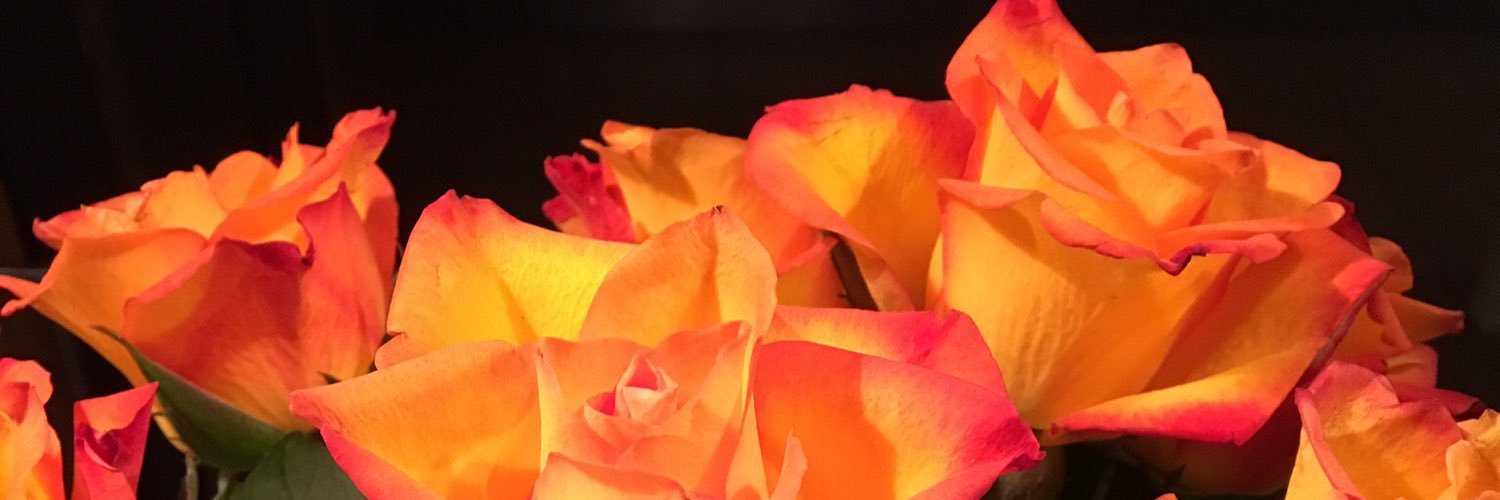 TSternsjo's profile banner image