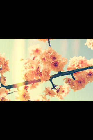 Simone_degraaf's profile banner image