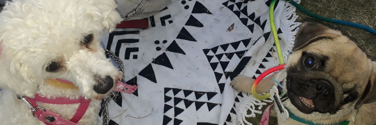 OGirazoles's profile banner image