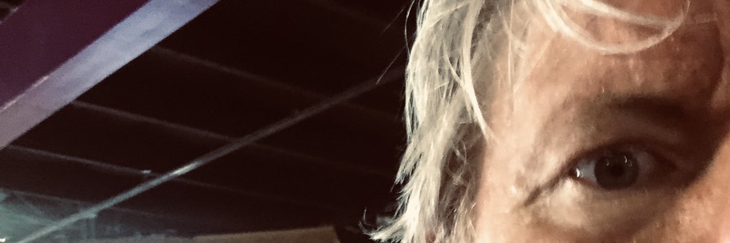 misstafish's profile banner image