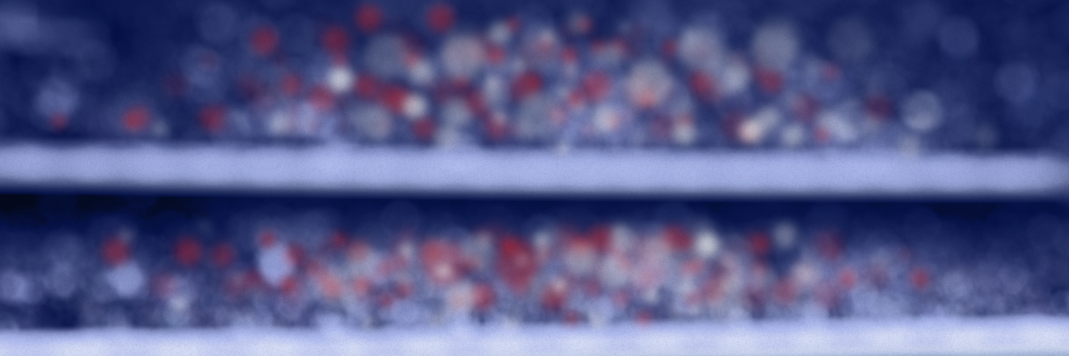 Jorge Pizarro banner