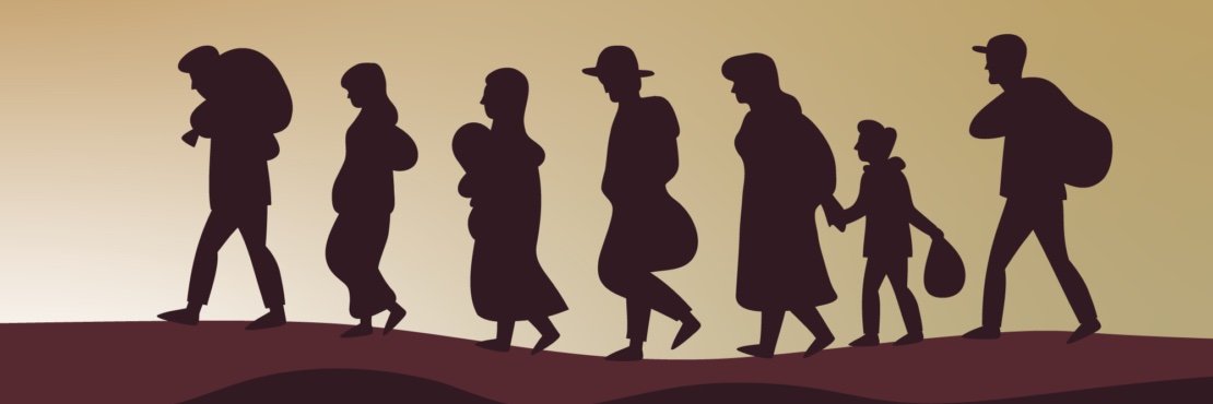 CIDE Migración banner