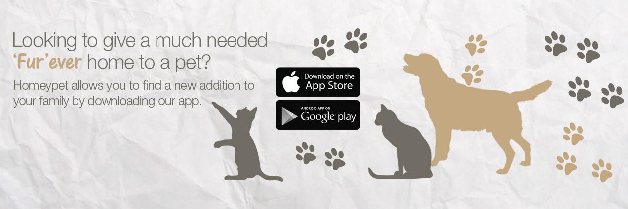 HomeyPet's profile banner image