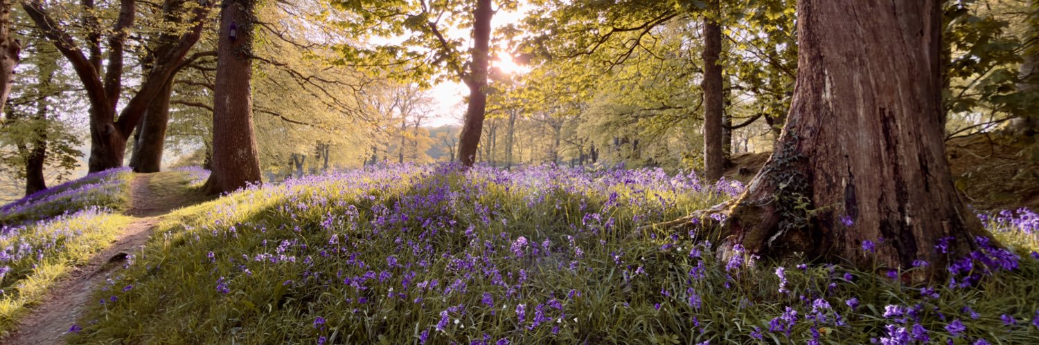 CraigStoneUK's profile banner image