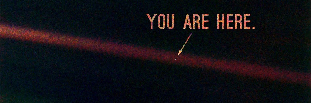 Tim Stroobants banner