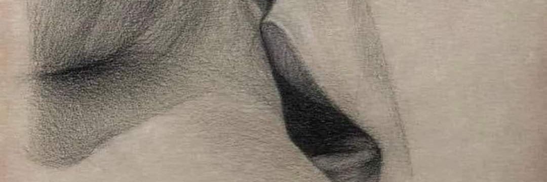 🐻 banner