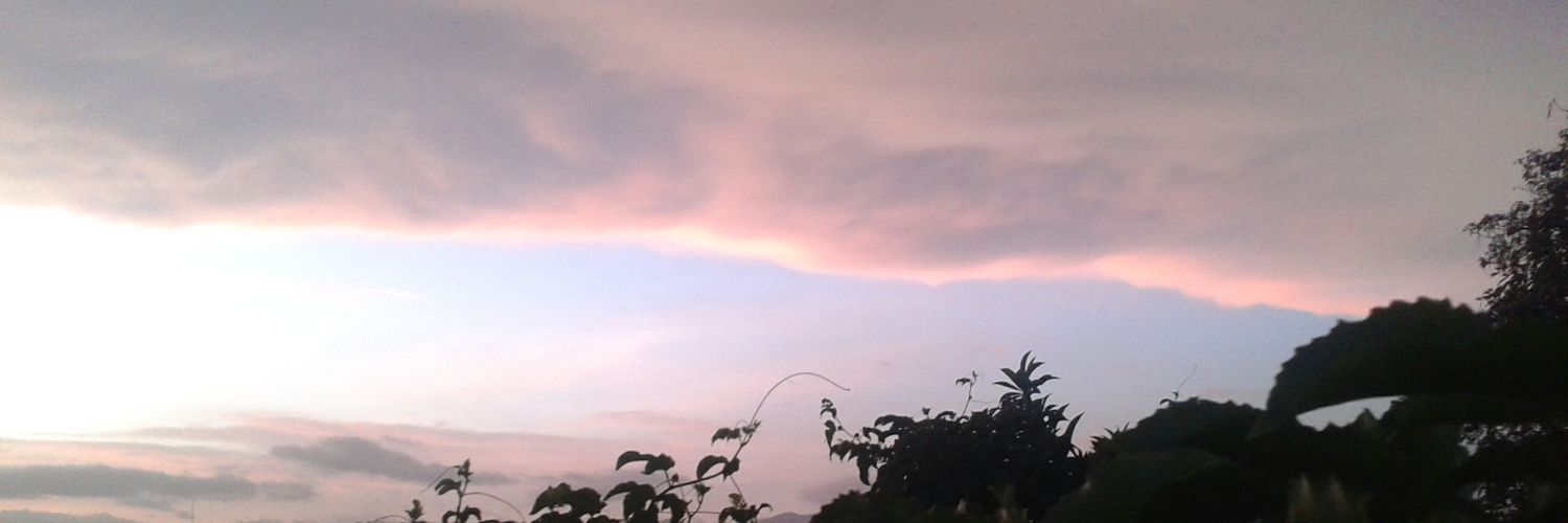lyma74's profile banner image