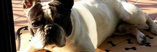 roxell88's profile banner image