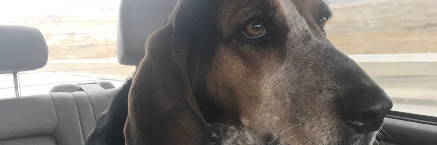 RussRusskyler's profile banner image