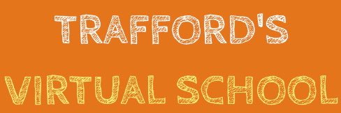 Traff VirtualSchool banner