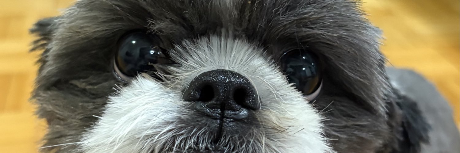 nfbarp's profile banner image