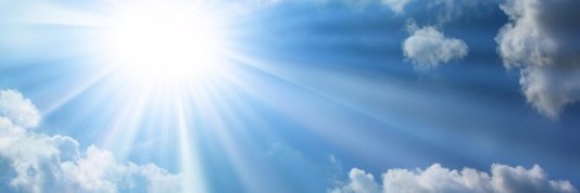 Ingrid Timmer banner