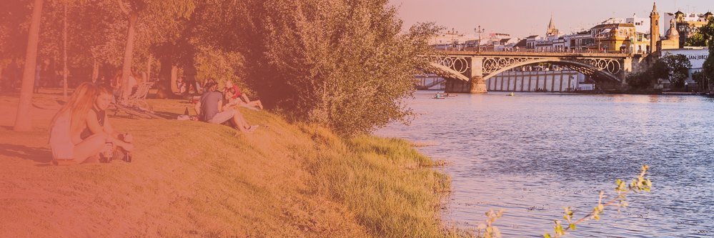beetripper_esp's profile banner image