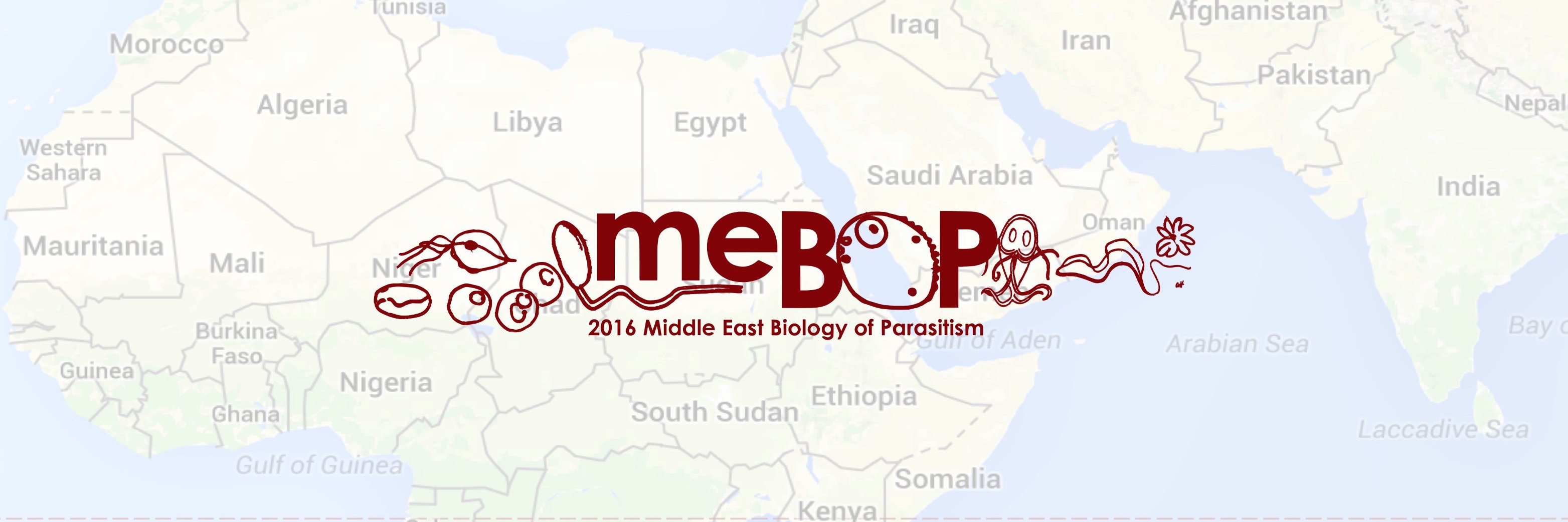MeBoP banner