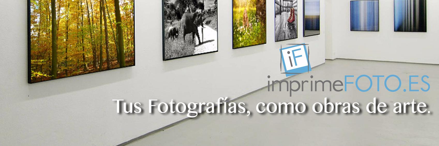 imprimefoto's profile banner image