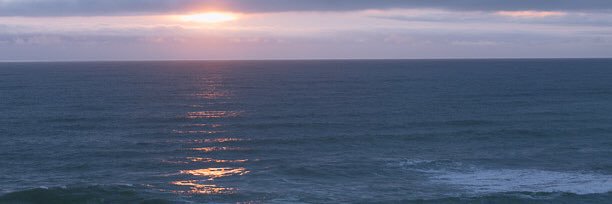 Ree banner