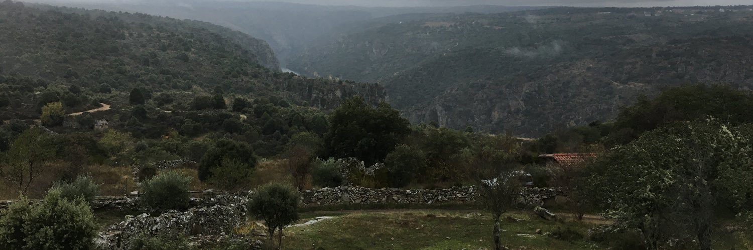evaromero10's profile banner image