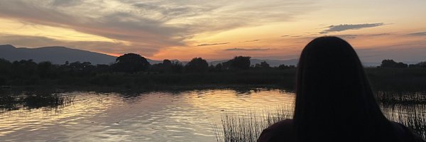 crybabyleli Profile Banner