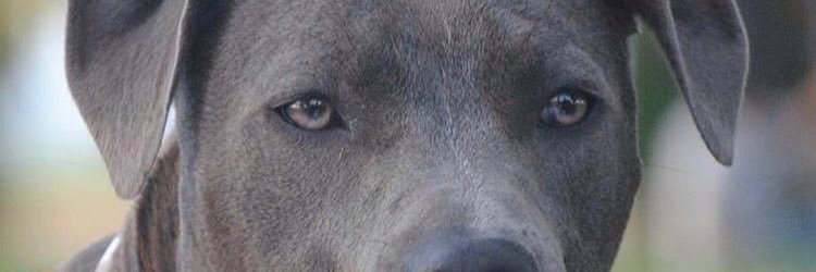 CParry_7's profile banner image