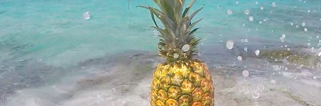 pineapple_jen's profile banner image