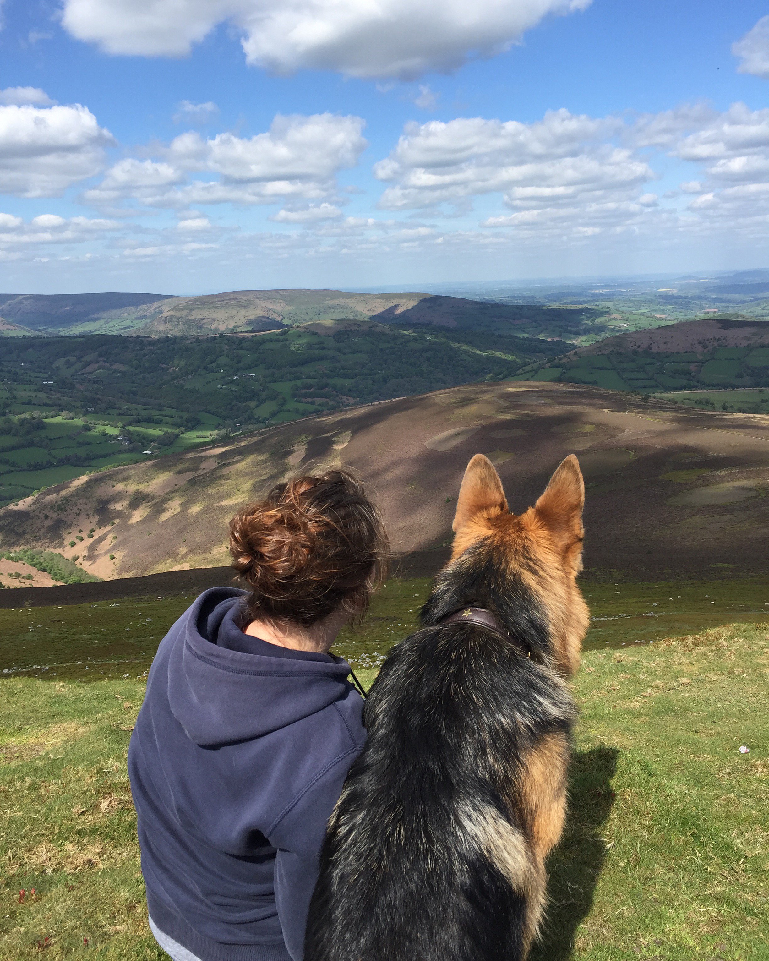 beckylewis20's profile banner image