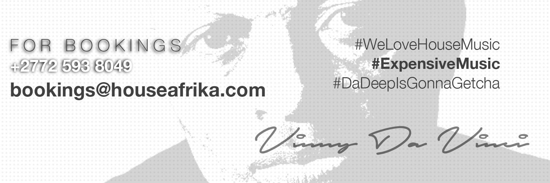 Vinny Da Vinci banner