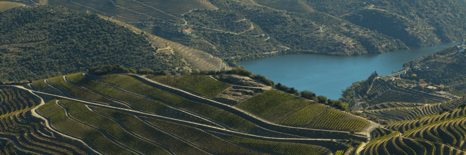 VFvinhos's profile banner image