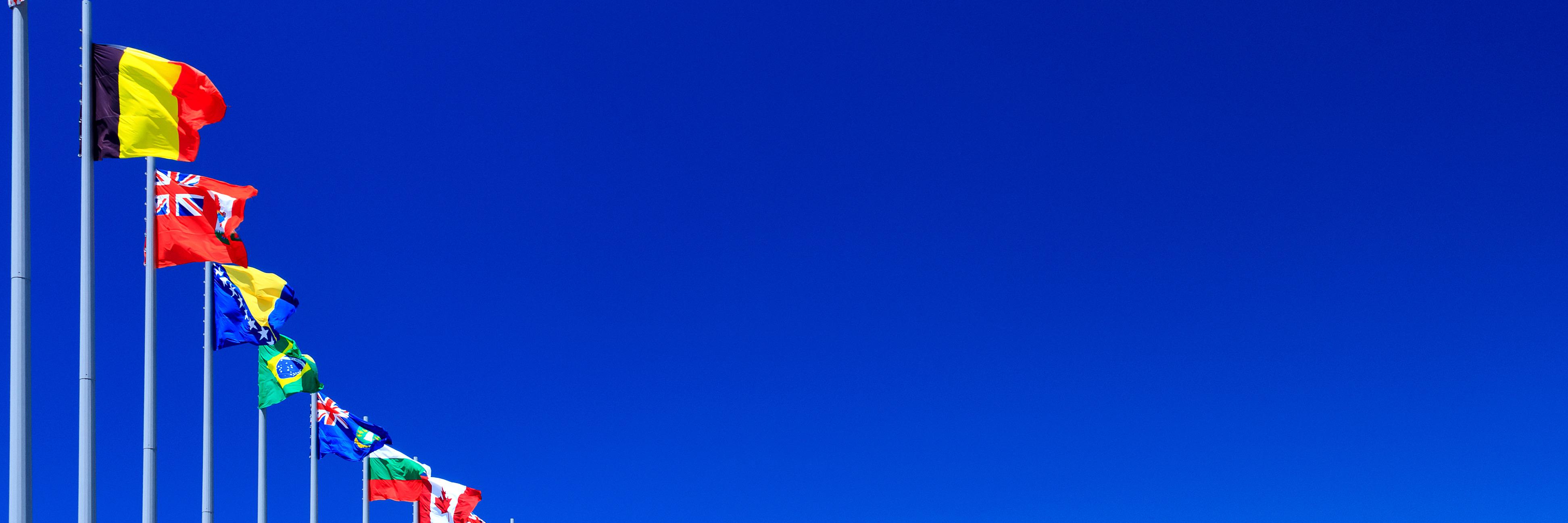 TheFlagBlog's profile banner image