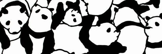 notbad_kim's profile banner image