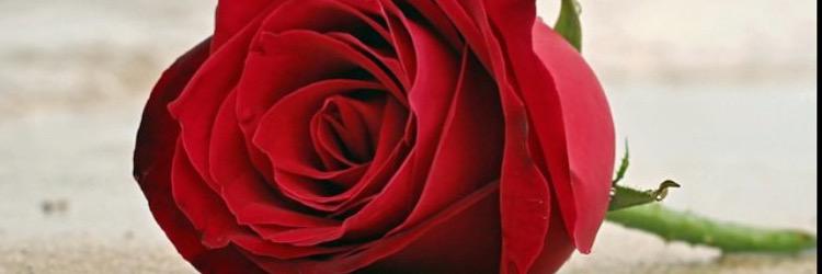 Amli123987's profile banner image