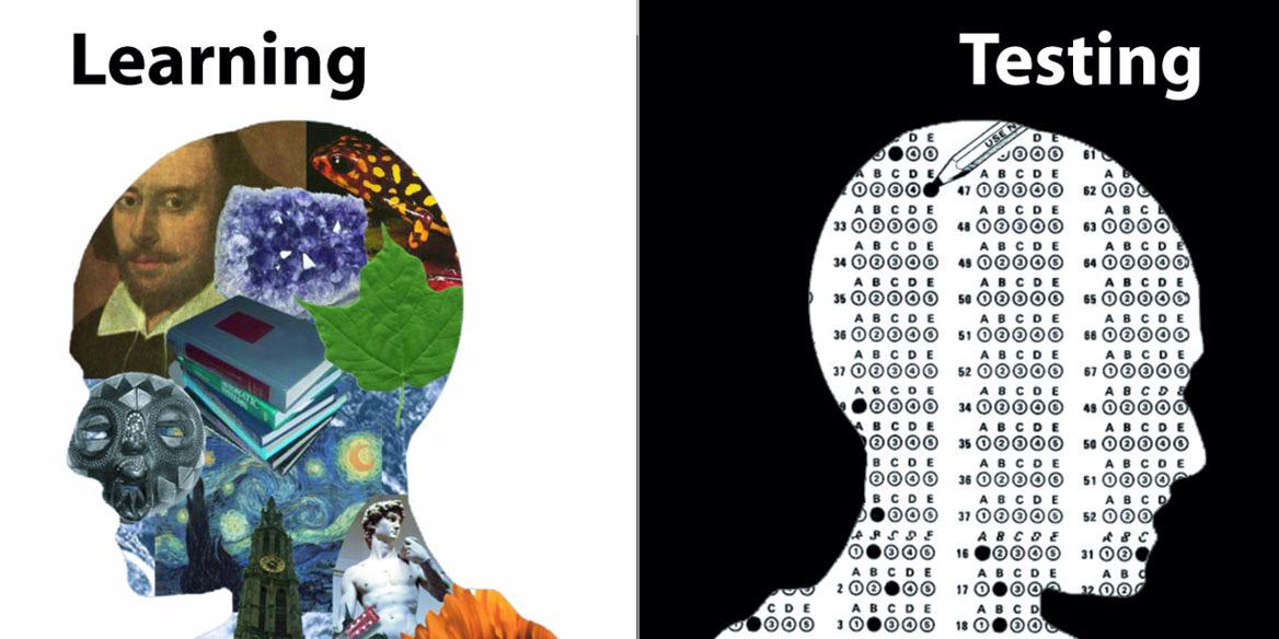 TestingKills's profile banner image
