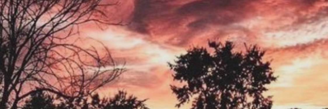 lilirreg's profile banner image