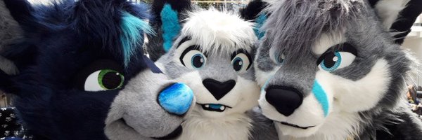 RokuKitten Profile Banner