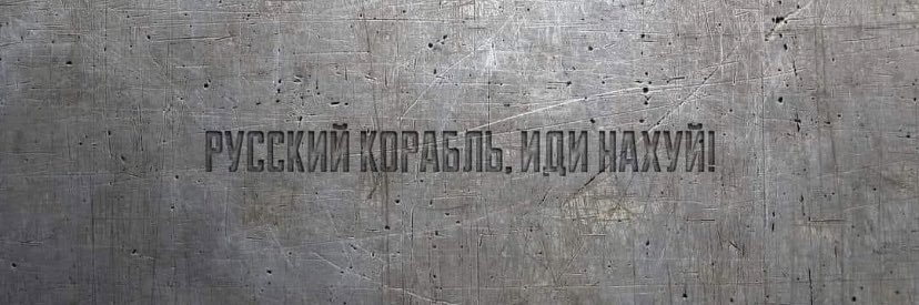 Daryna Shevchenko banner