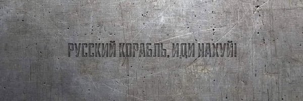 DarynaShev Profile Banner
