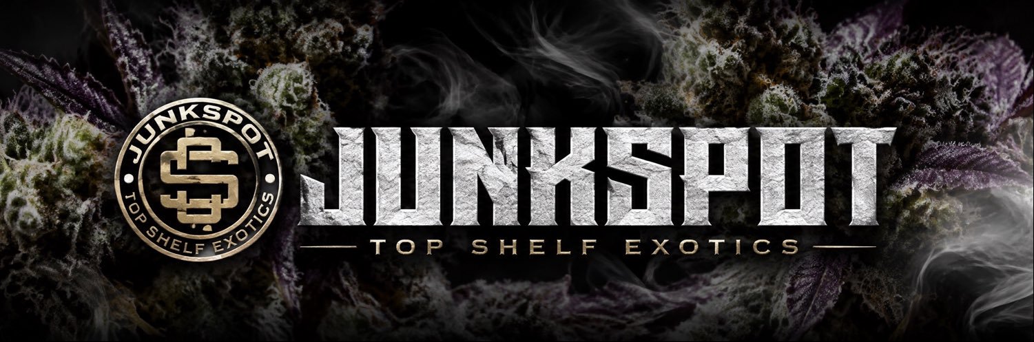 JUNKD3LVRRY's profile banner image