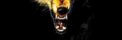 Alpha_Dawgs's profile banner image